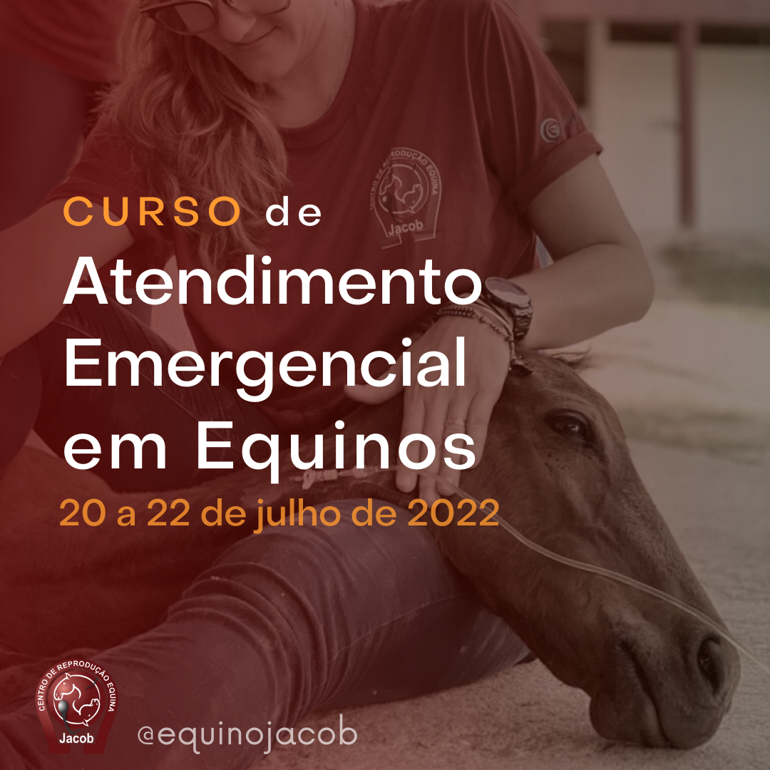 Curso de Atendimento Emergencial de Equinos - 20 a 22 de julho